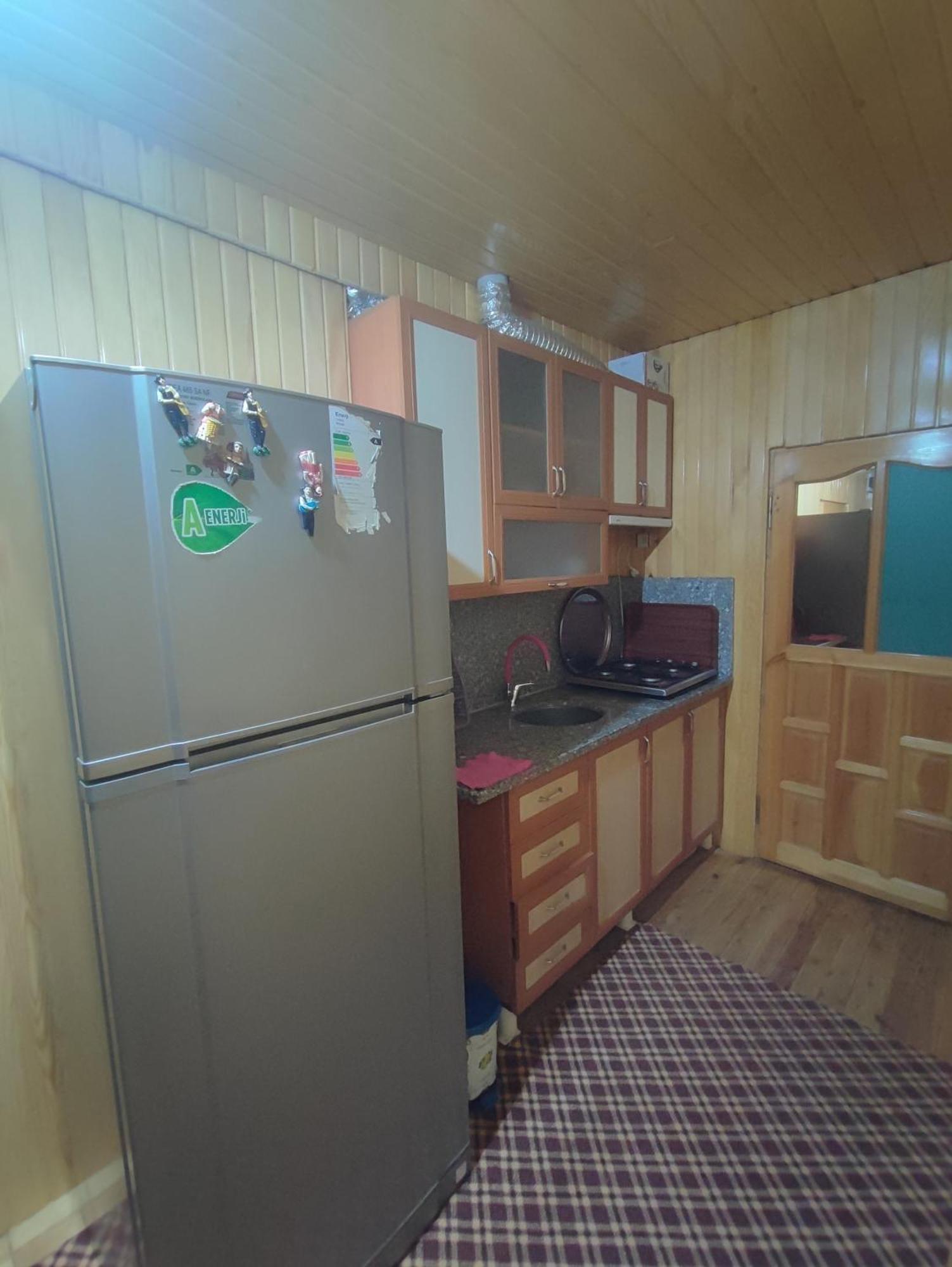 Apartment Aydin *