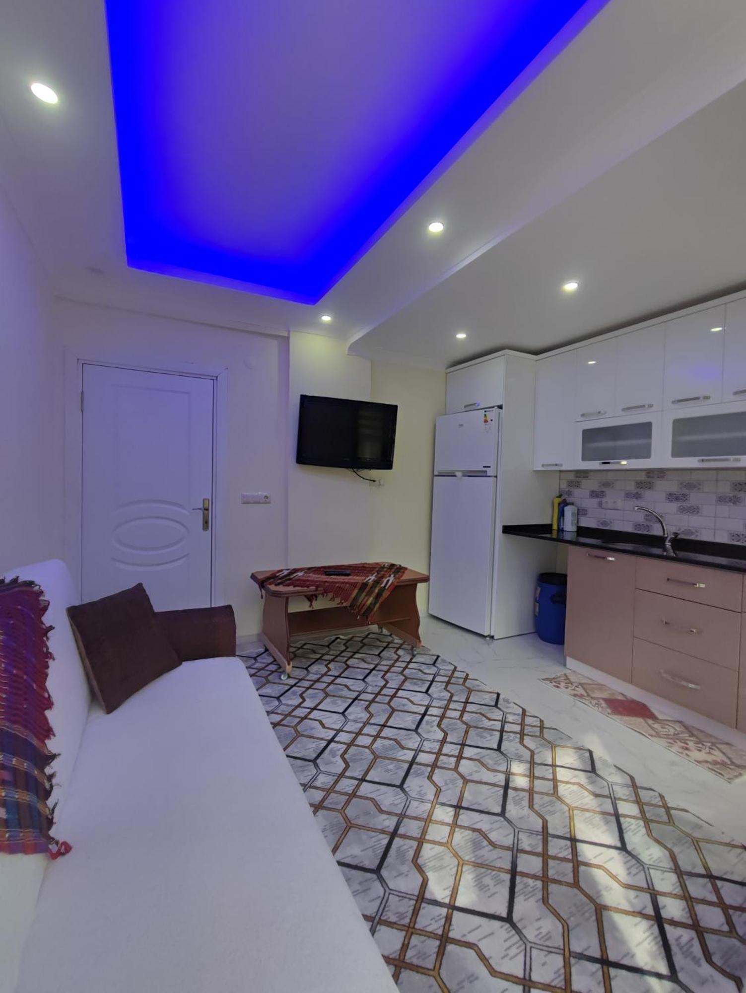 Apartment Aydin *
