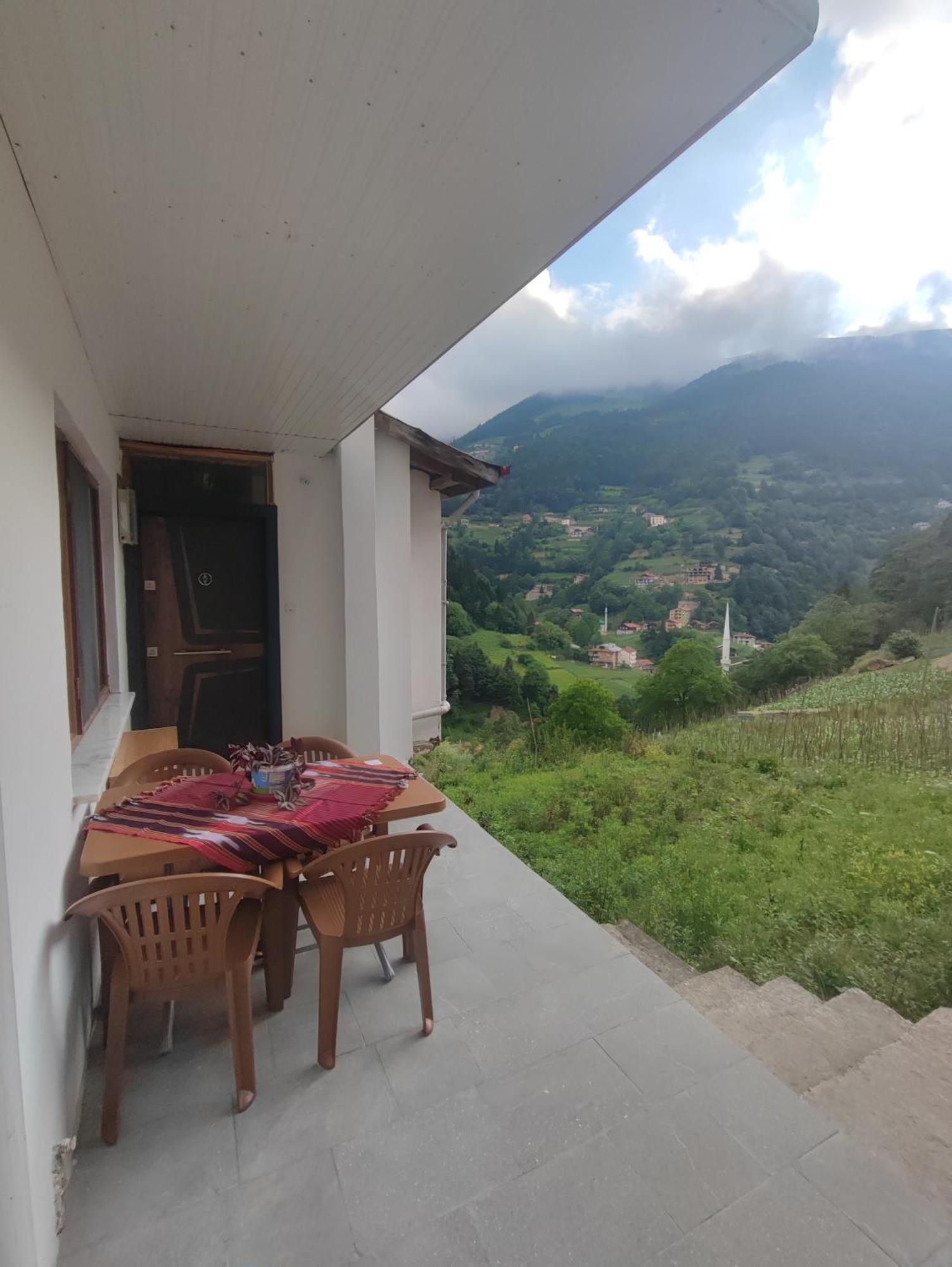 Apartment Aydin Uzungol