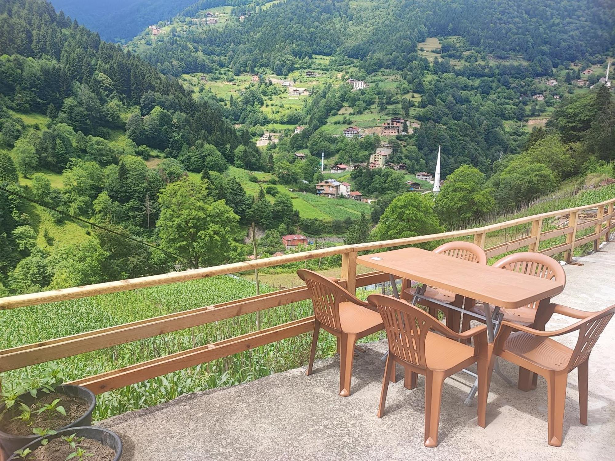 Apartment Aydin Uzungol