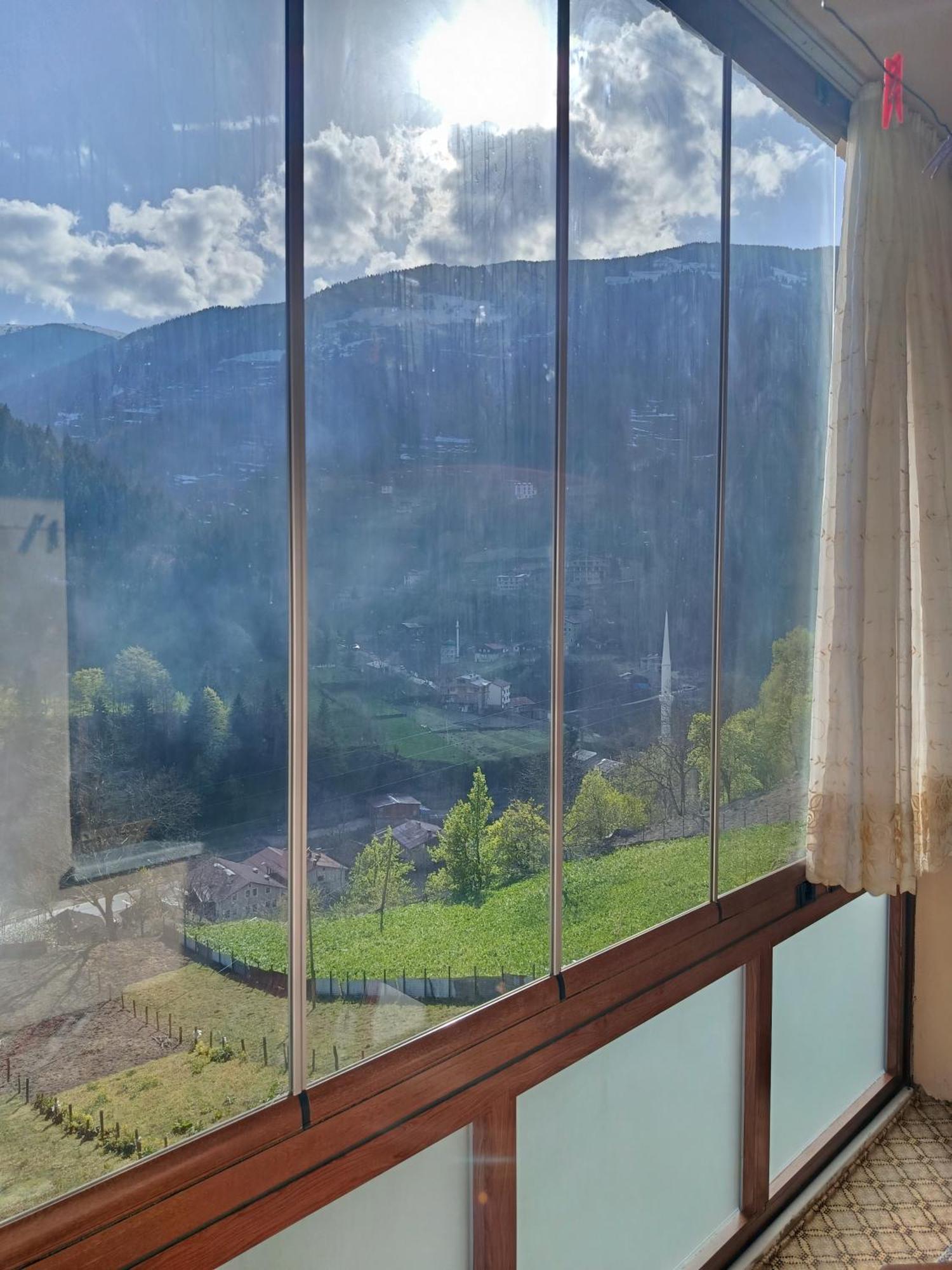 Apartment Aydin