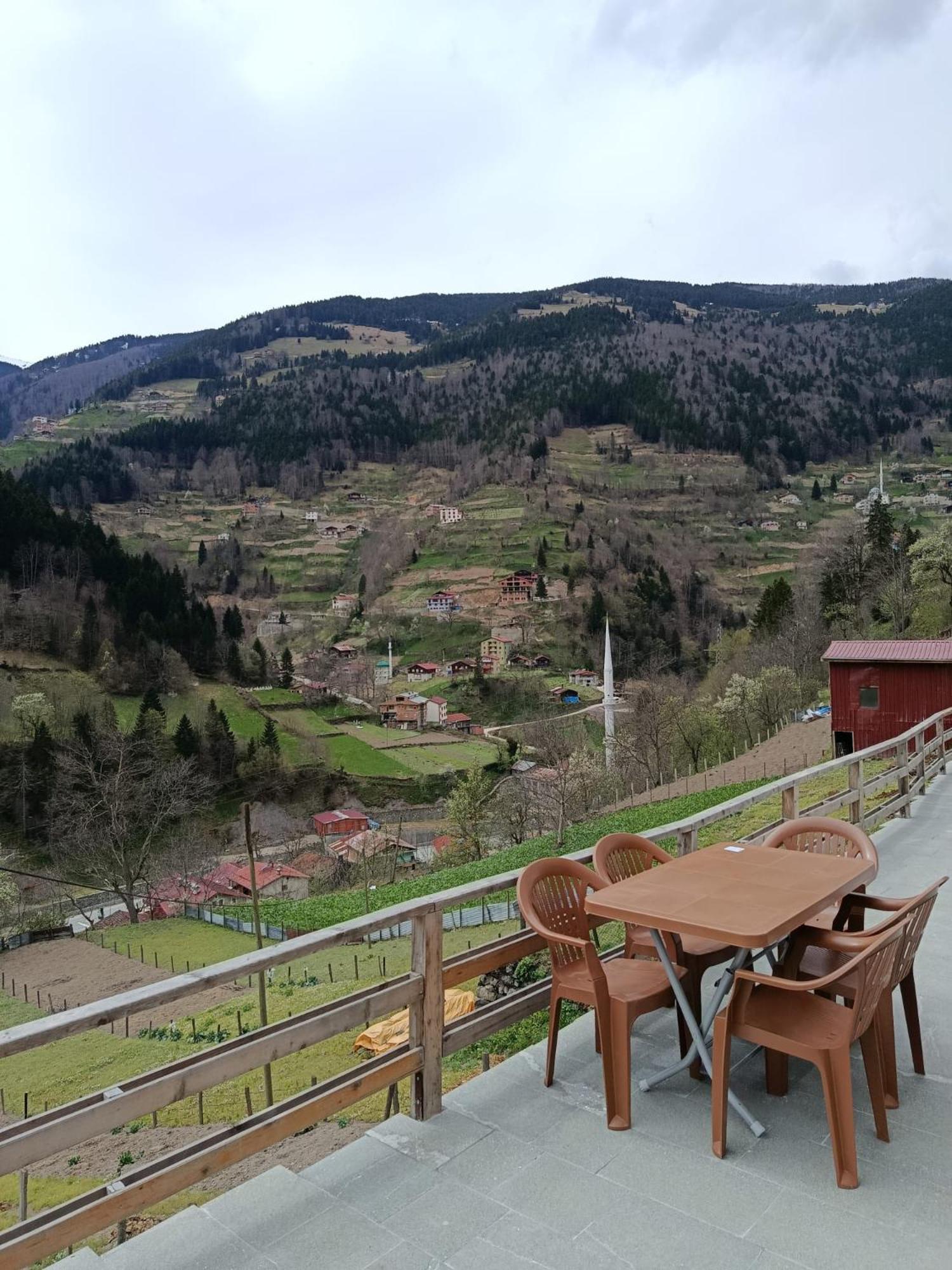 Aydin Apartment Uzungol